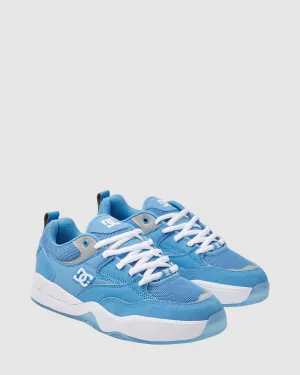 Mens DC Ascend S Skate Shoes